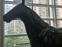 -星悦荟健身游泳(珠江新城店)