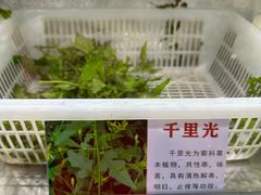 -黔府豆米火锅野菜馆(南马店)