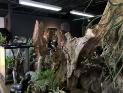 -周忆刺青原创设计定制