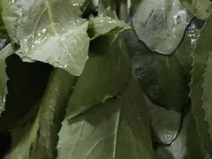 -顺顺小吃(独克宗古城店)