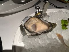 -Oyster Talks 四度蚝法餐厅