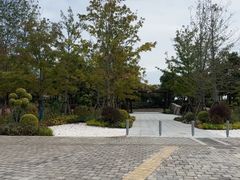 -春花秋色城市公园