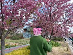 -三圣花乡旅游区