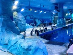 -蓬莱欧乐堡梦幻世界