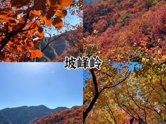 -Catail前苑(前门大街店)