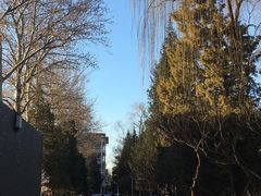 -北京外国语大学东院食堂