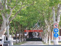 -山东省青岛第二中学(江西路分校)