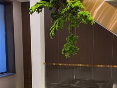 -正清和·推拿养生(二七广场店)