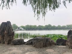 -洛阳市隋唐城遗址植物园