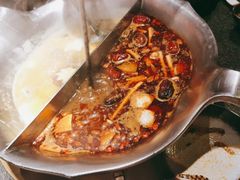 红颜花胶鸡锅-湊湊火锅·茶憩(上海合生汇店)