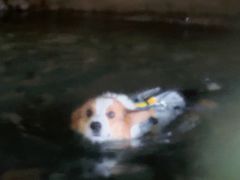 -藏龙百瀑漂流