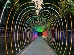 -南宫五洲植物乐园