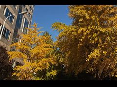 -就这家旋转小火锅(西安路罗斯福店)