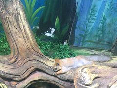 -华夏文旅海洋公园