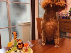 -派悦坊·甜品·蛋糕(日坛店)