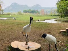 -星湖旅游景区七星岩