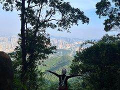-阳台山森林公园