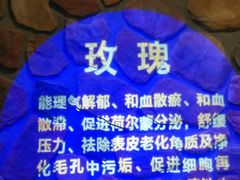 -东方之珠洗浴休闲广场(南开店)