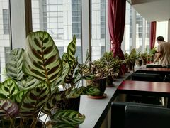 -九华体检中心(今晚报分店)