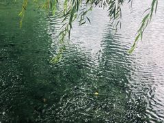 -百脉泉景区