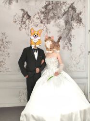 -MAO亲爱的猫婚纱摄影工作室