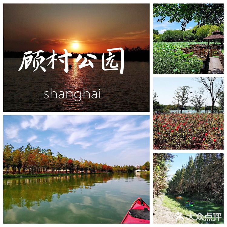 上海游攻略｜打卡本地人爱去的顾村公园⛲️