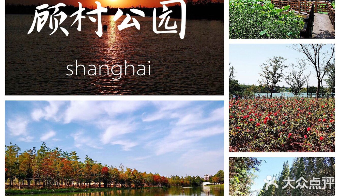 上海游攻略｜打卡本地人爱去的顾村公园⛲️