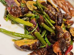 干煸蚕蛹-新洪记·丽久饭店(铁西店)