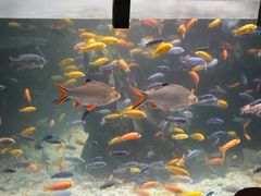 -太平洋海底世界