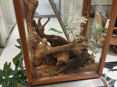 -一尺花园(安和花园店)