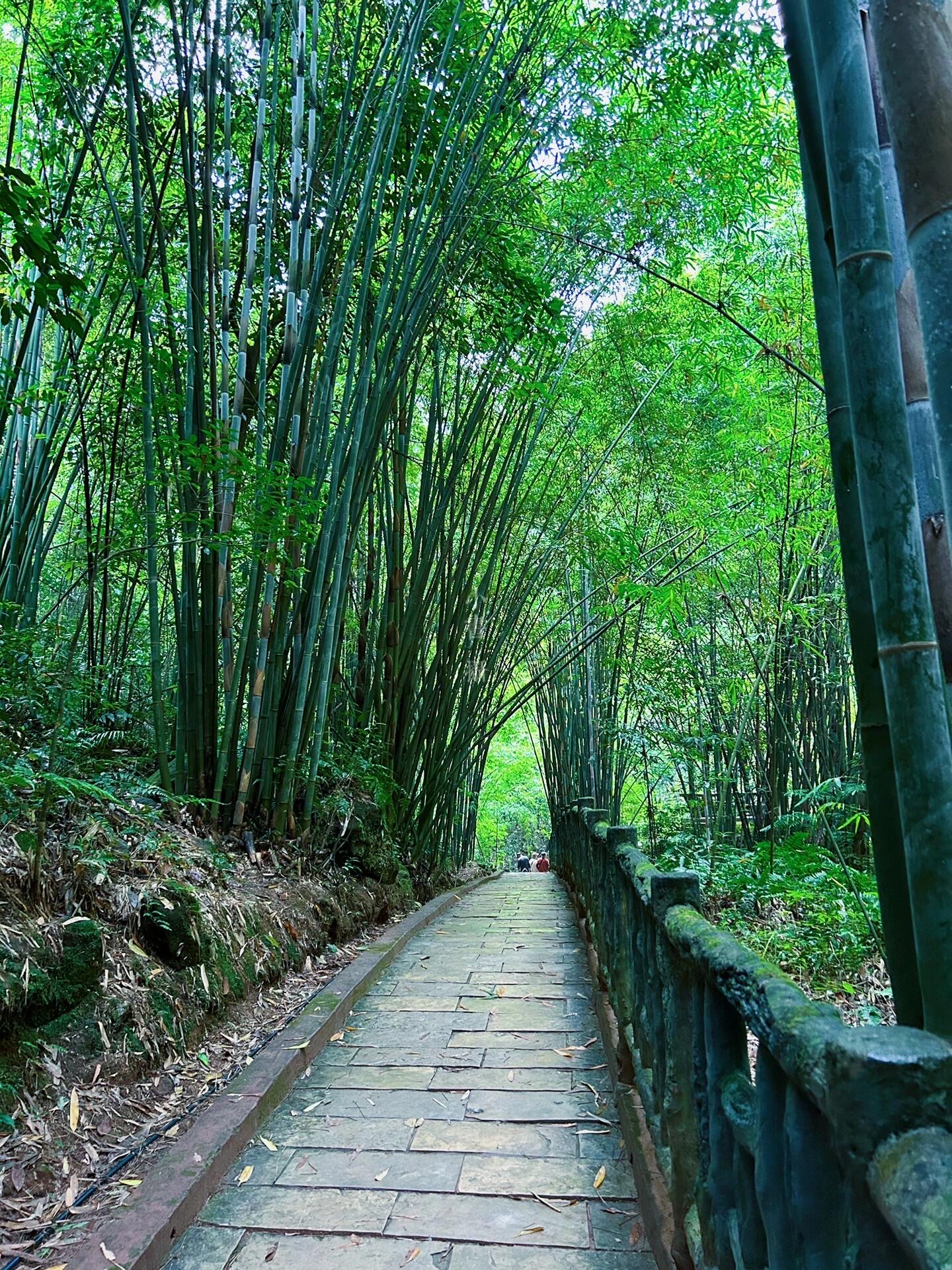 n\\t\\n97景点:沐川竹海(aaa)\\n97地点:乐山沐川县\\n97出行