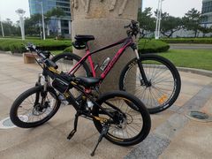 -道路口单车爱瓦士dahon大行