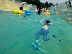 -秦皇岛乐岛海洋王国