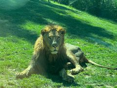 -北京野生动物园