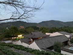 -帐篷客·溪龙茶谷度假酒店