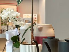 -溯洄咖啡VORTEX COFFEE