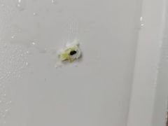 -红宝石·鲜奶小方·海派西点房(金杨店)