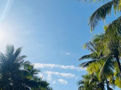 -三亚南山文化旅游区