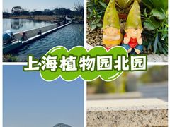 -上海植物园-4号门售票处