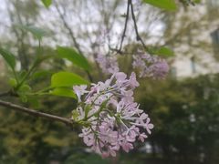 -安肯心理咨询(长宁旗舰店)