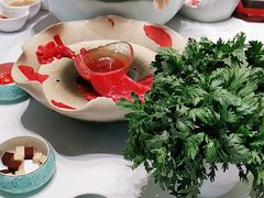 -红鼎豆捞·非遗鲍皇汤火锅(宝丰路店)