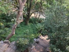 -汇龙潭