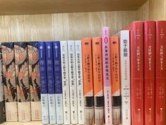 -猫的天空之城概念书店(印象城购物中心店)