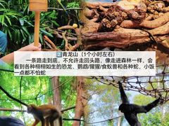 -广州长隆野生动物世界