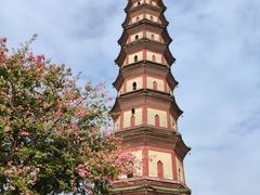 -广州莲花山旅游区