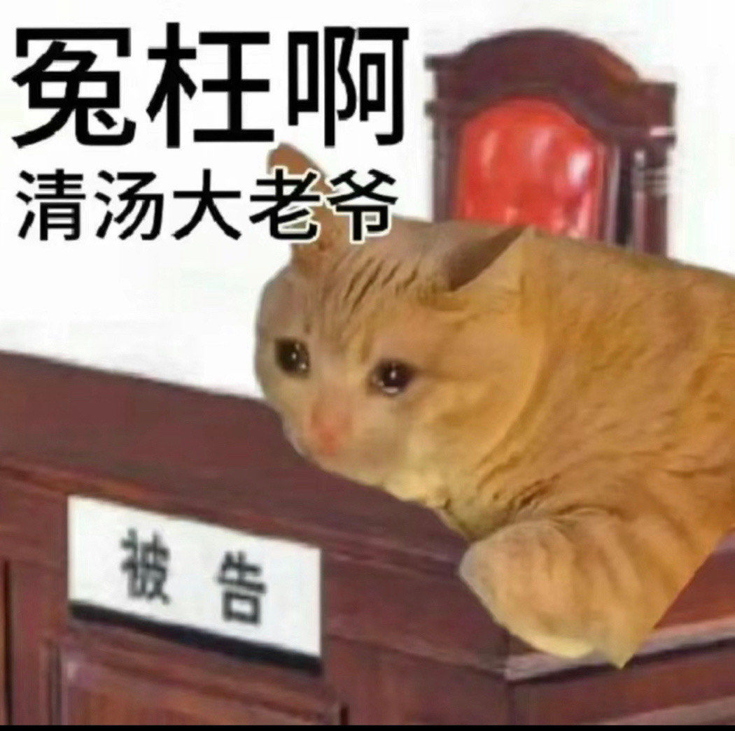 猫咪表情包来了