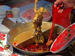 -小龙翻大江文化火锅(宽窄店)