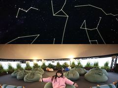 -上海佘山世茂艾美酒店