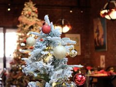 -弗兰克牛排西餐厅Ribone steak house(柠檬花园店)