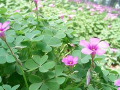 外景-河南省黄河迎宾馆